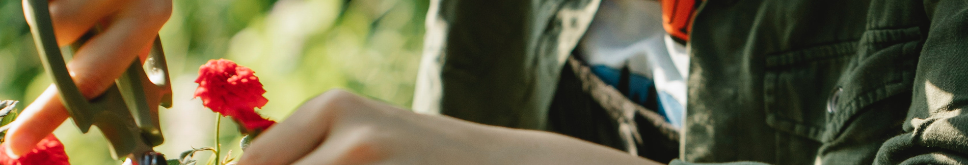 Auto generated site gardening tools store