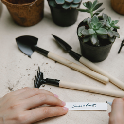 Auto generated site gardening tools store