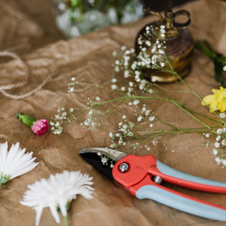 Auto generated site gardening tools store