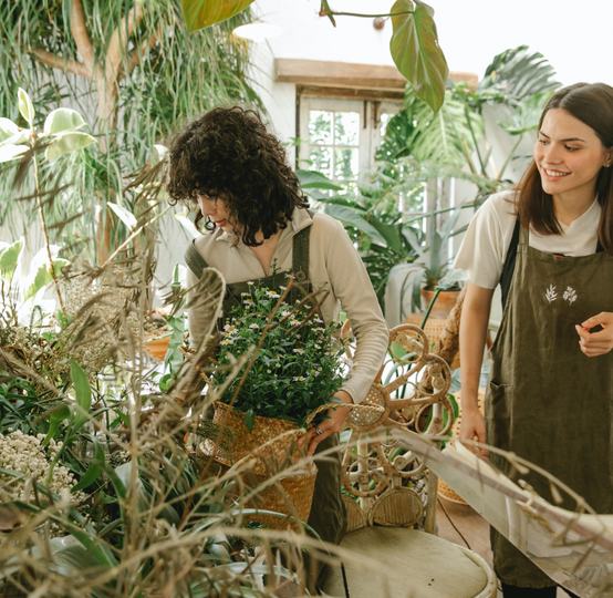 Auto generated site gardening tools store