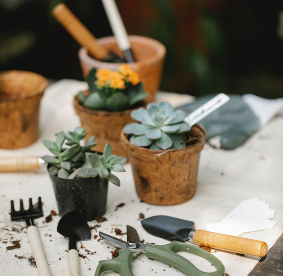 Auto generated site gardening tools store