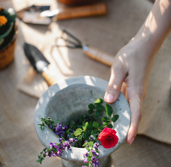 Auto generated site gardening tools store