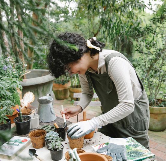 Auto generated site gardening tools store