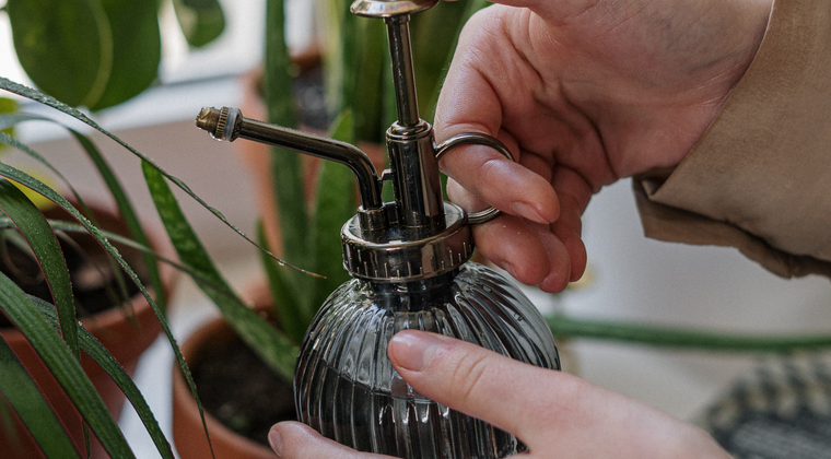 Auto generated site gardening tools store